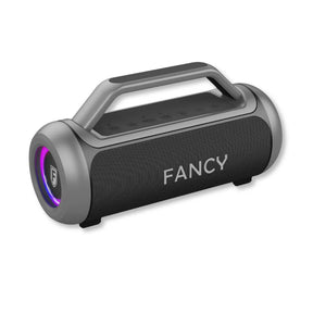 CAIXA DE SOM BLUETOOTH HEAVY BASS 100W FANCY - FX100